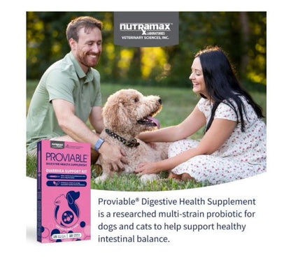 Nutramax Laboratories Proviable Digestive Health Diarrhea Support Kit for Cats and Small Dogs Oral Paste & Sprinkle Capsules 10 Count