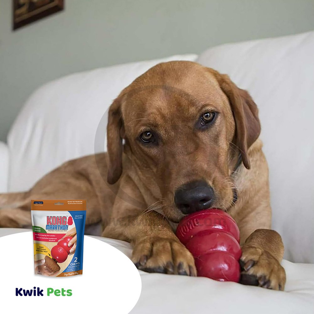 KONG Marathon Peanut Butter Dog Treats 2 Count