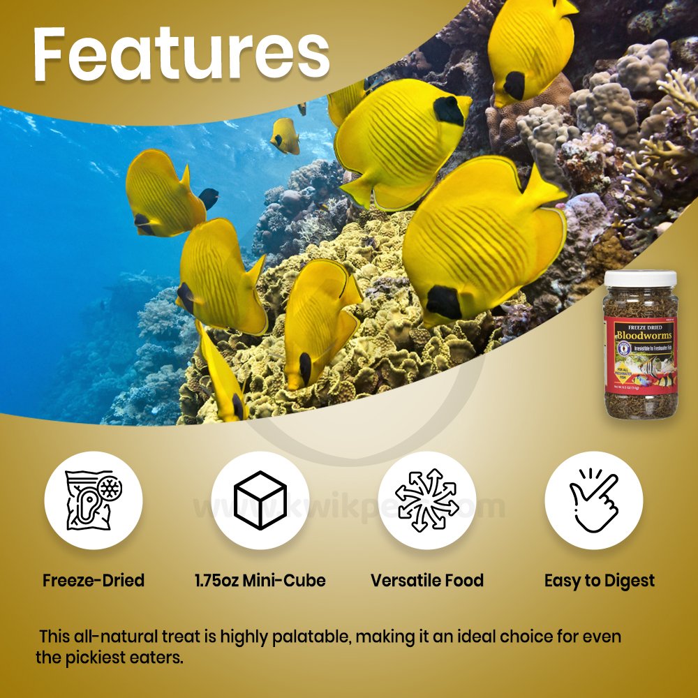 San Francisco Bay Brand Bloodworms Freeze-Dried Fish Food 0.5-oz, Kwik Pets