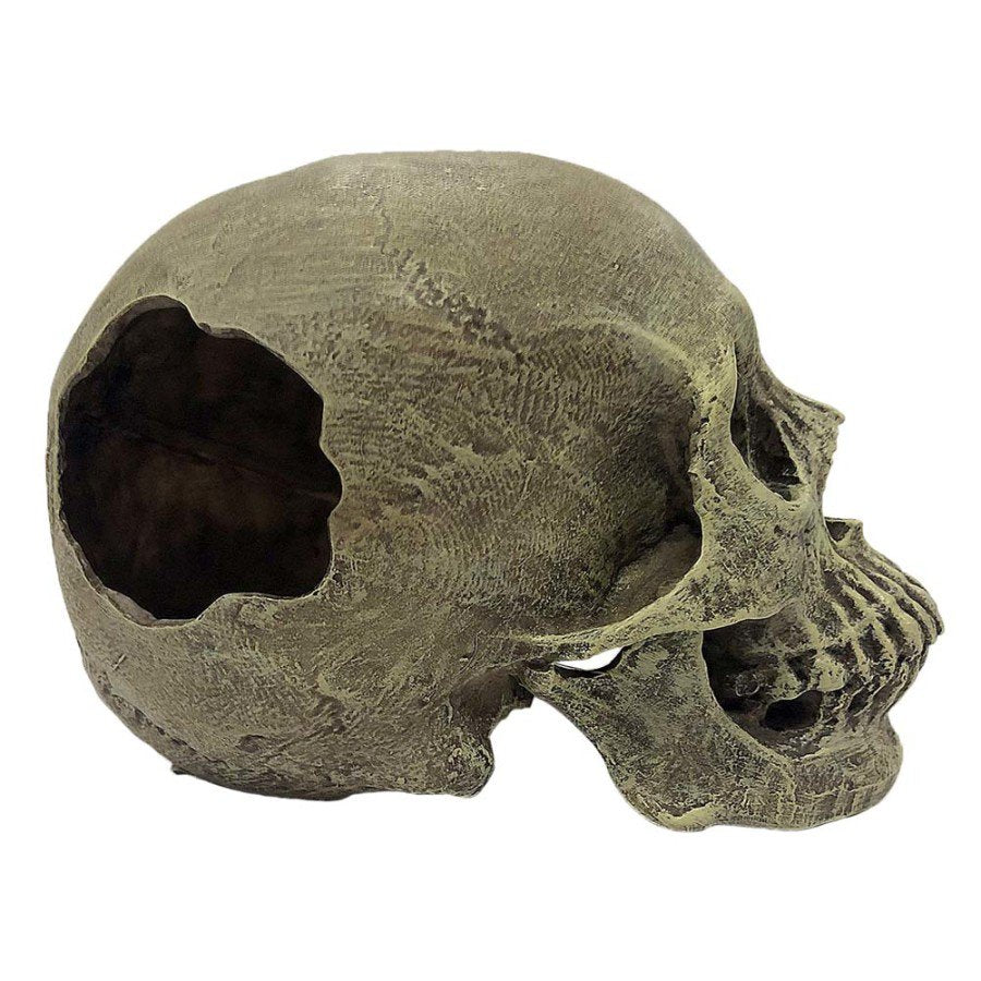 Komodo Full Human Skull Reptile Hideout Gray