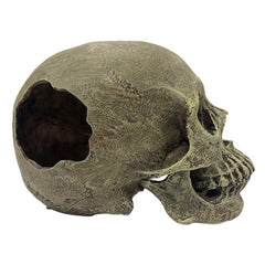 Komodo Full Human Skull Reptile Hideout Gray