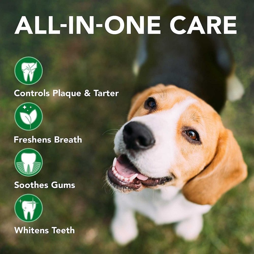 Veterinarian's Best Dental Gel 3.5oz, Vet's Best