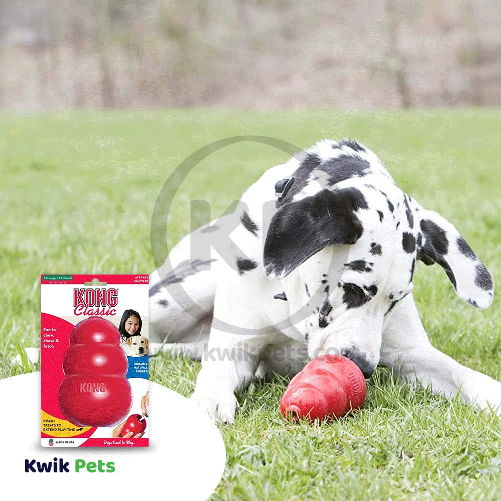 KONG Classic Dog Toy XXL, Kwik Pets