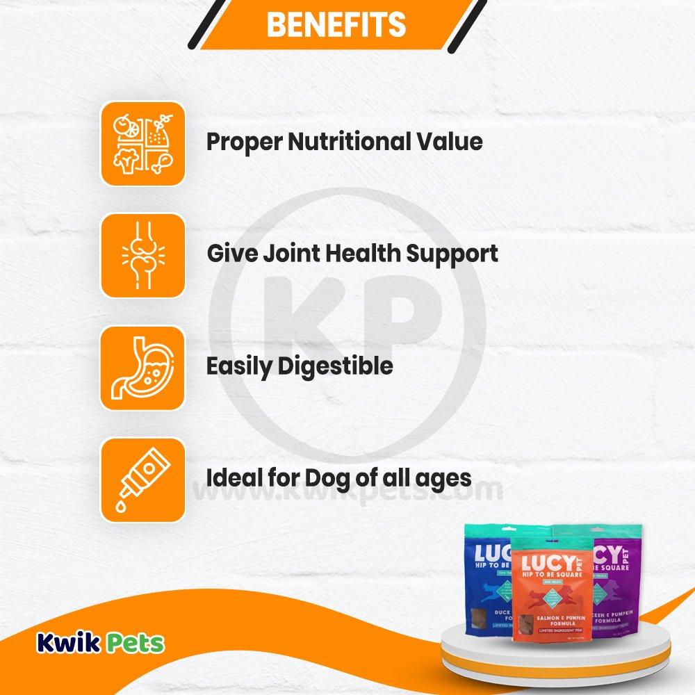 Lucy Pet Products Hip to Be Square Limited Ingredient Dog Treats Duck & Pumpkin 6-oz, Kwik Pets