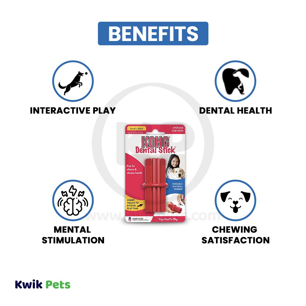 Benefits of KONG Dental Stick Chew Dog Toy Small
