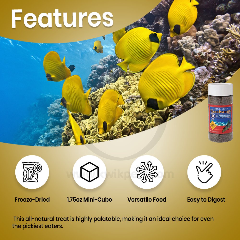 San Francisco Bay Brand Bloodworms Freeze-Dried Fish Food 0.25-oz, Kwik Pets