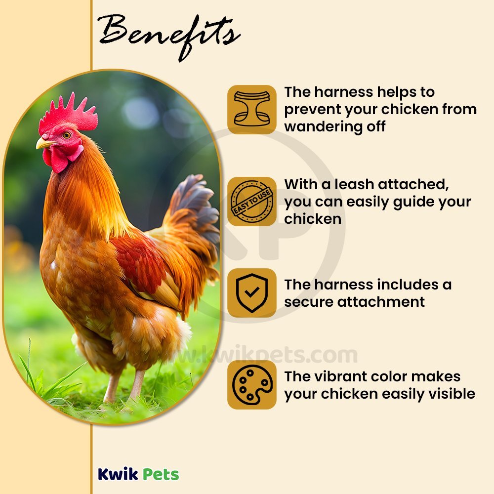 Benefits of Valhoma Small Chicken Harness Small Hot Pink