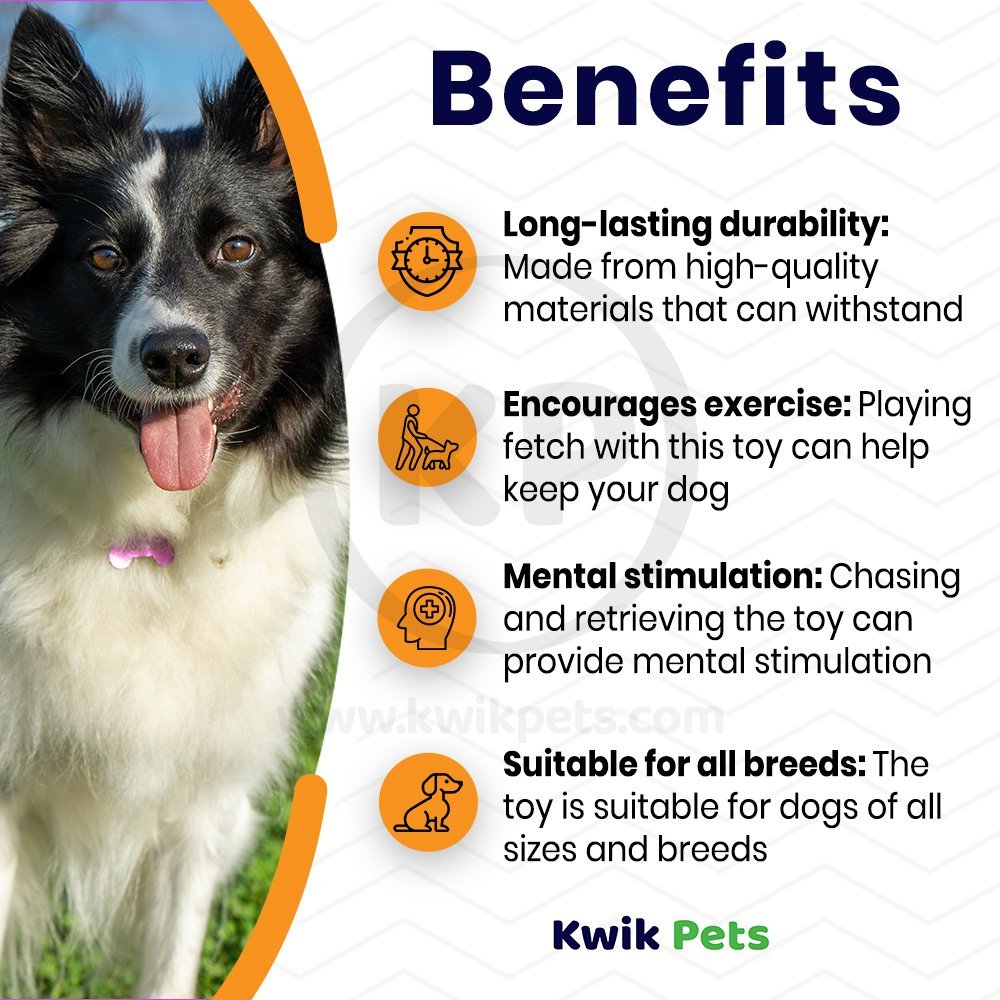 Benefits of BullyMake Toss n' Treat Butter Flavored Popcorn Dog Chew Toy One Size