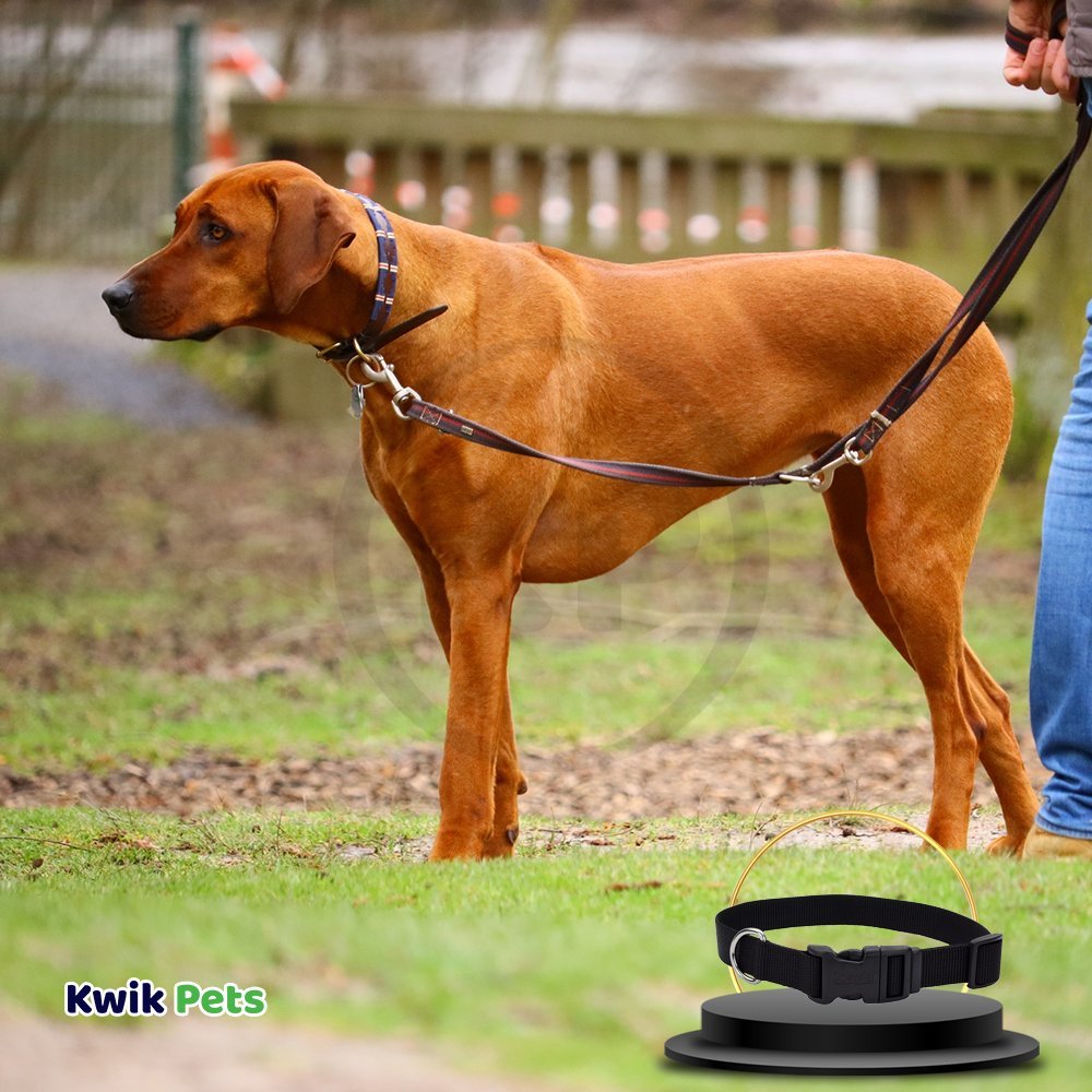 Coastal Adjustable Nylon Dog Collar with Plastic Buckle Black 1 in X 18-26 in, Kwik Pets