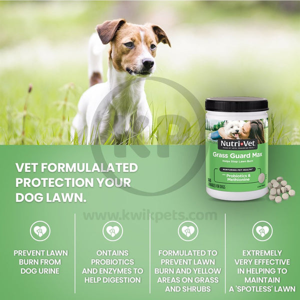 Formula - Nutri-Vet Grass Guard Max Chewables for Dogs Liver 365 Count
