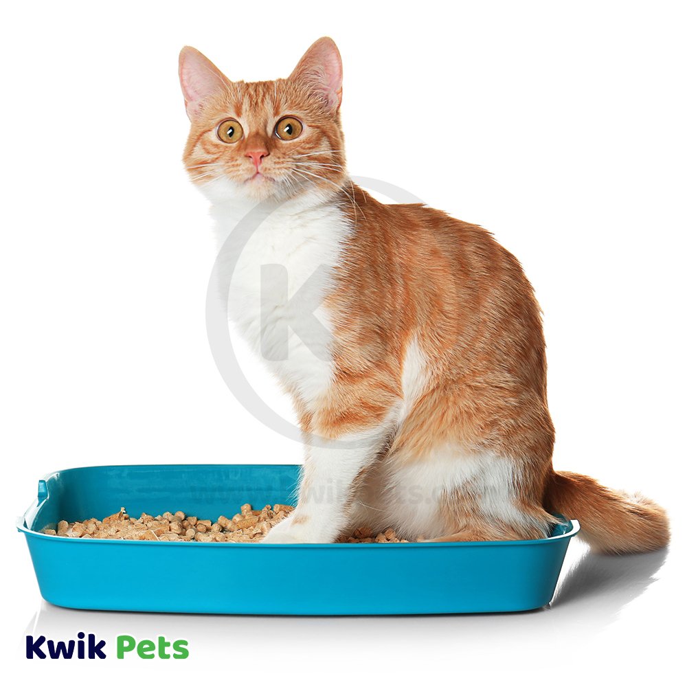 World's Best Cat Litter Original Unscented Formula