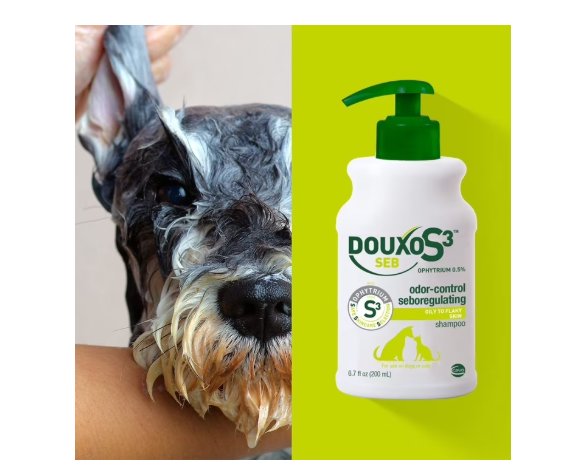 Ceva Douxo S3 SEB Odor-Control Seboregulating Dog & Cat Shampoo 6.7-oz