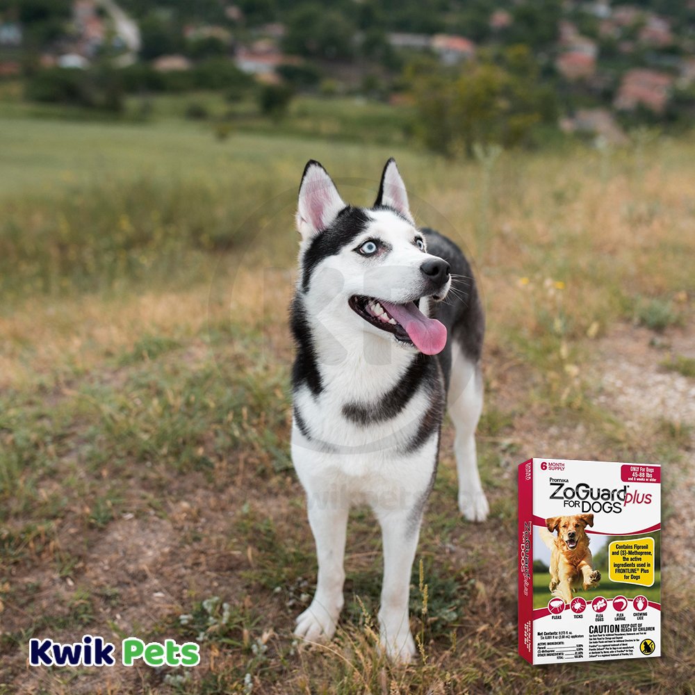Promika ZoGuard Plus 3-Month Supply Flea & Tick Prevention for Dogs 45-88 lbs 3 Count, Kwik Pets
