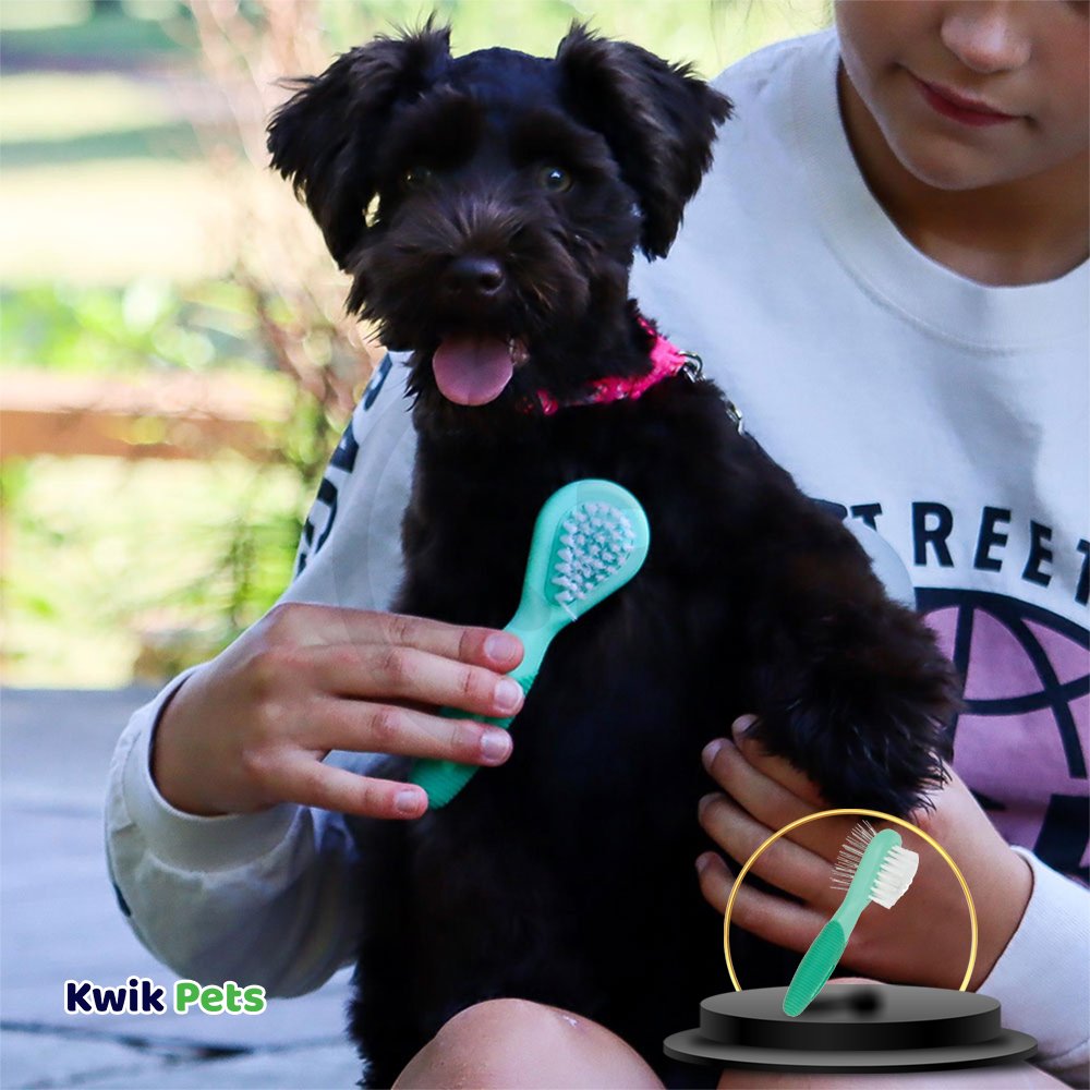 Dog Image of Coastal Lil Pals Double-Sided Dog Comb Blue Green One Size