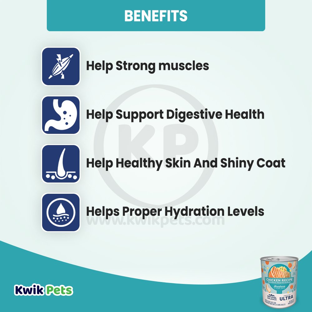 Benefits-Of-Natural-Balance-Pet-Foods-Original-Ultra-Abundance-Canned-Wet-Dog-Food-Chicken-13-oz
