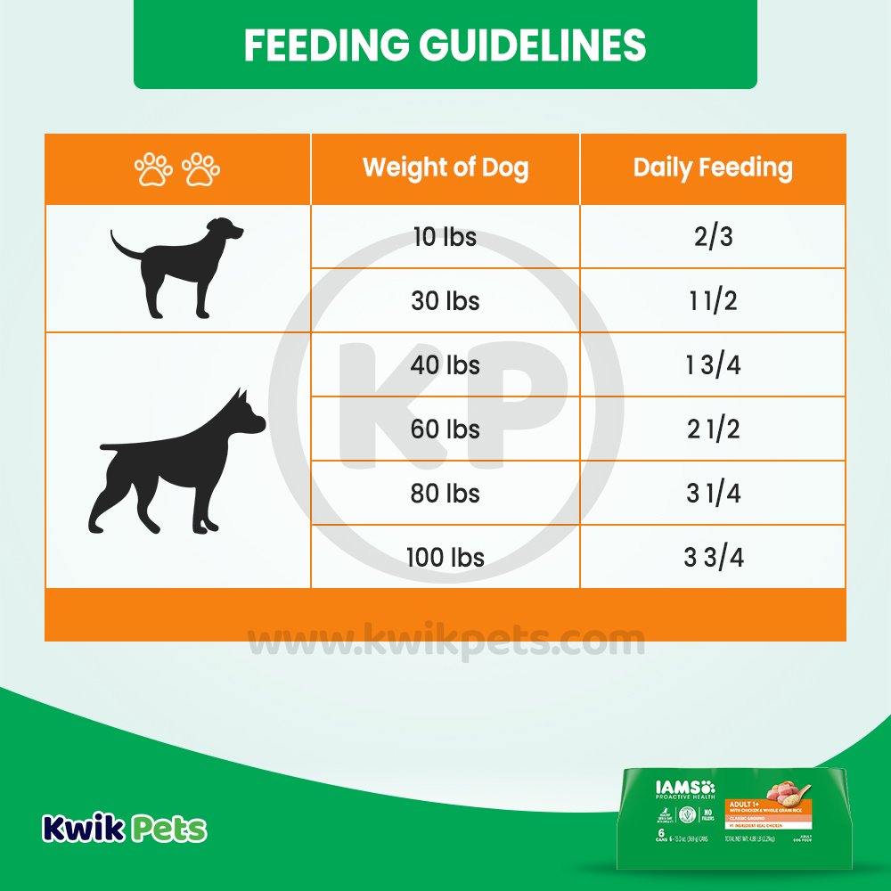 IAMS Proactive Health Adult Wet Dog Food Pate with Chicken & Rice 6 Count 13-oz, Kwik Pets