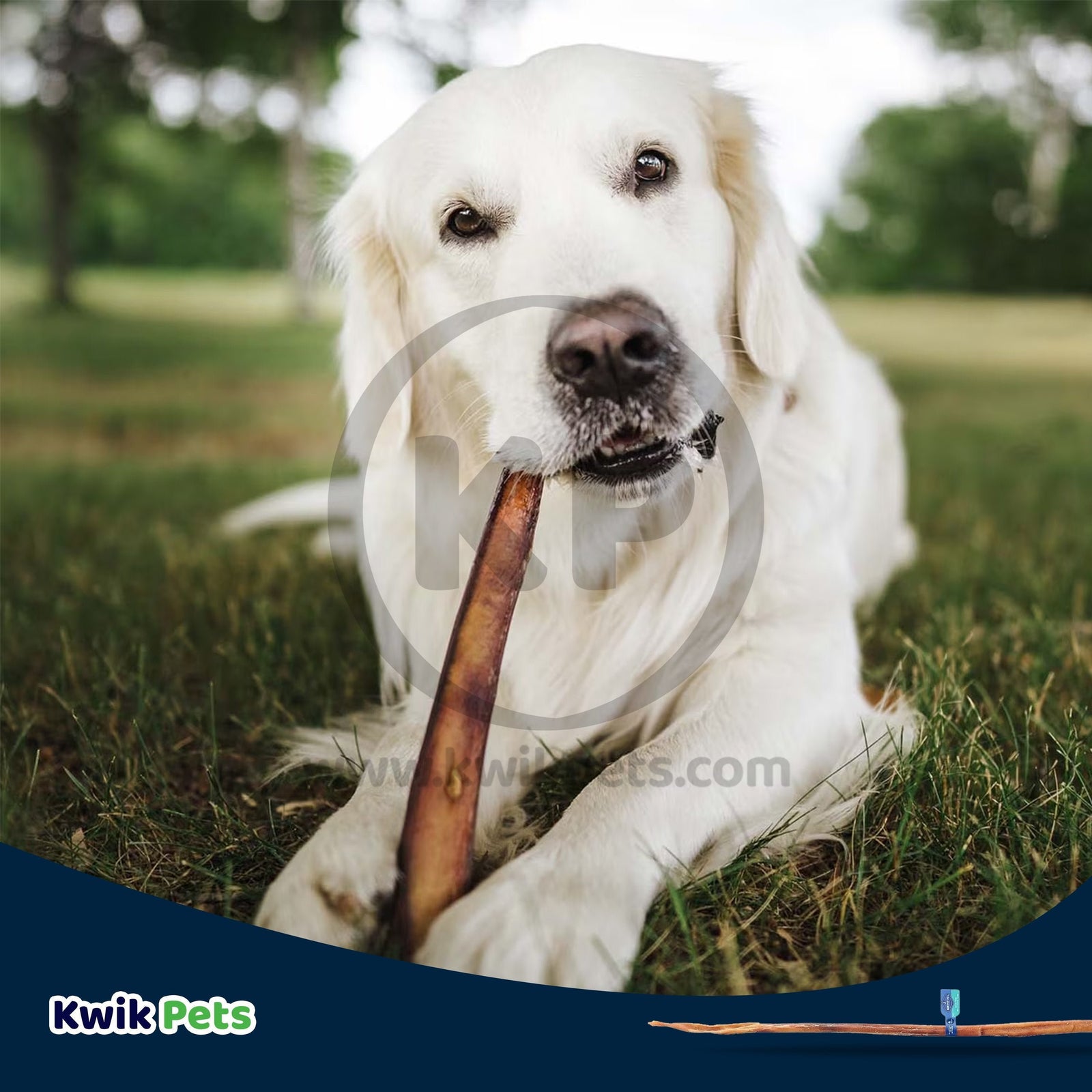 Barkworthies Odor Free Cane Bully 1 Pack