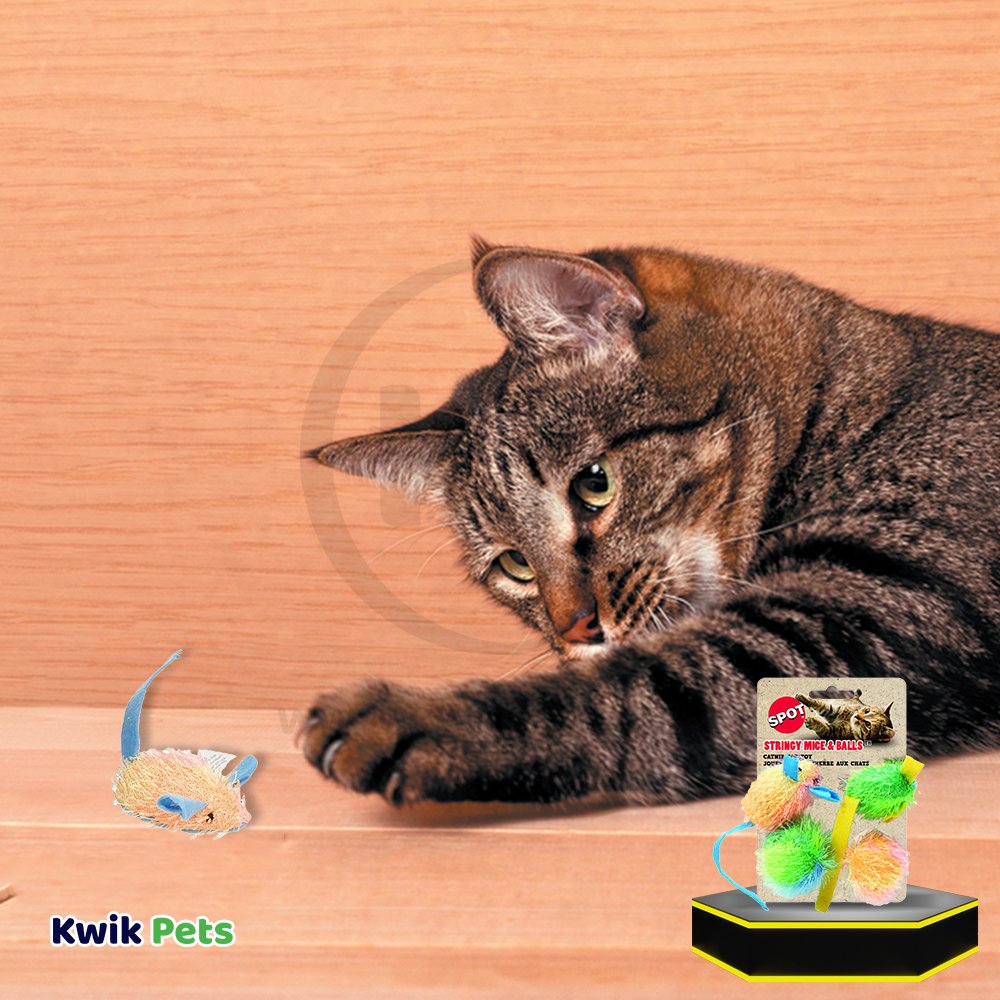 Cat with Ethical Pet Spot Stringy Mice & Ball Cat Toy with Catnip Assorted 2-in