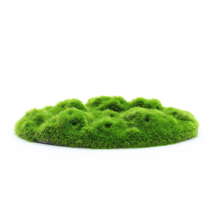 Penn-Plax Aqua-Flora Living Moss Patch Aquarium Ornament One Size