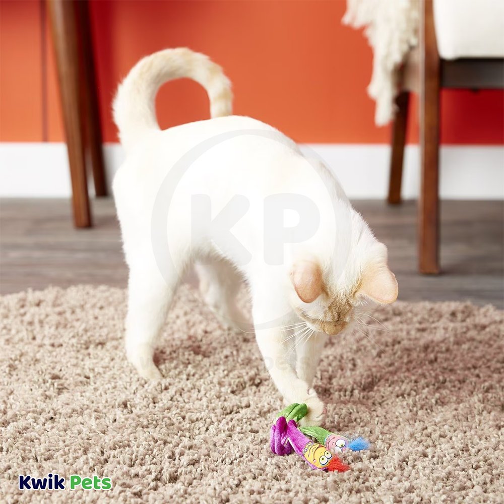 LifeStyle of Fat Cat Classic Springy Worms Catnip Toy Assorted 2 Count