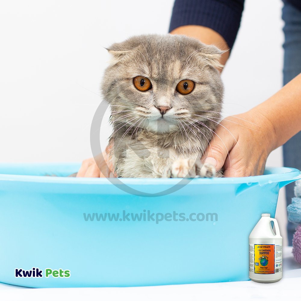 Cat taking Bath with Earthbath 2-in-1 Conditioning Pet Shampoo Mango Tango 128-oz