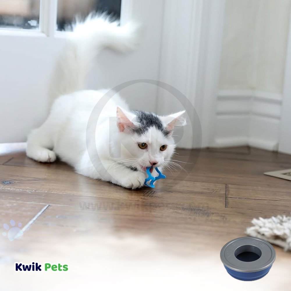 Cat playing with Petmate Cat Crazies Interactive Cat Toys 4 Count