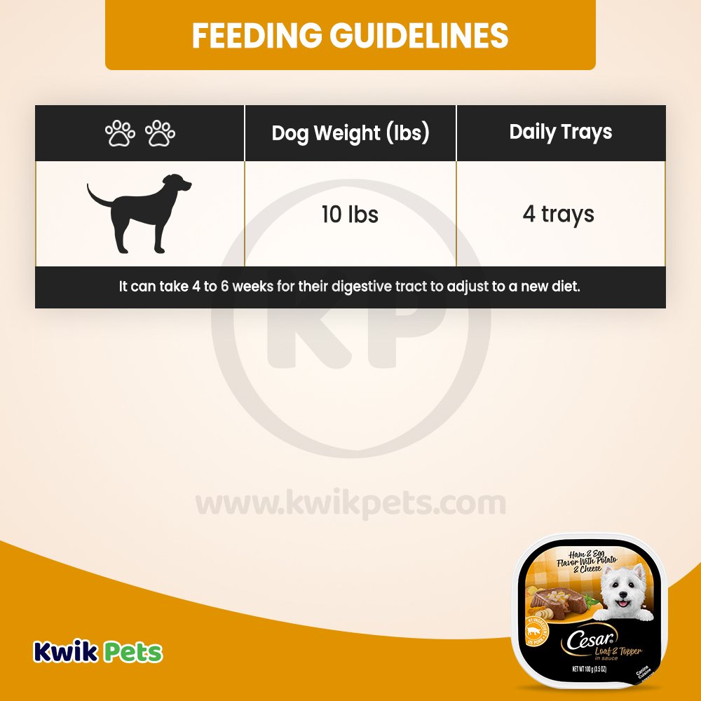 Cesar Loaf & Topper in Sauce Adult Wet Dog Food Ham & Egg w/Potato & Cheese 3.5-oz, Kwik Pets