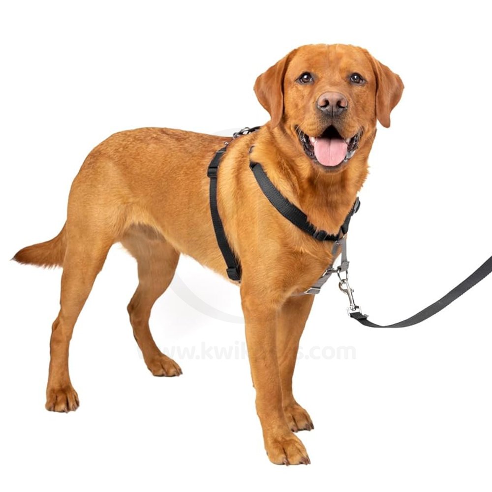 Dog Image of PetSafe 3 in 1 Dog Harness Black Large
