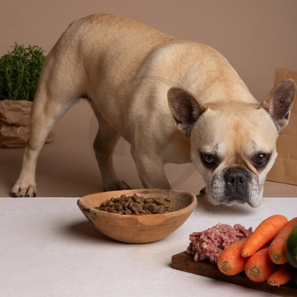 Zuke's Dog Hip Action Peanut Butter 1lb, Zuke's