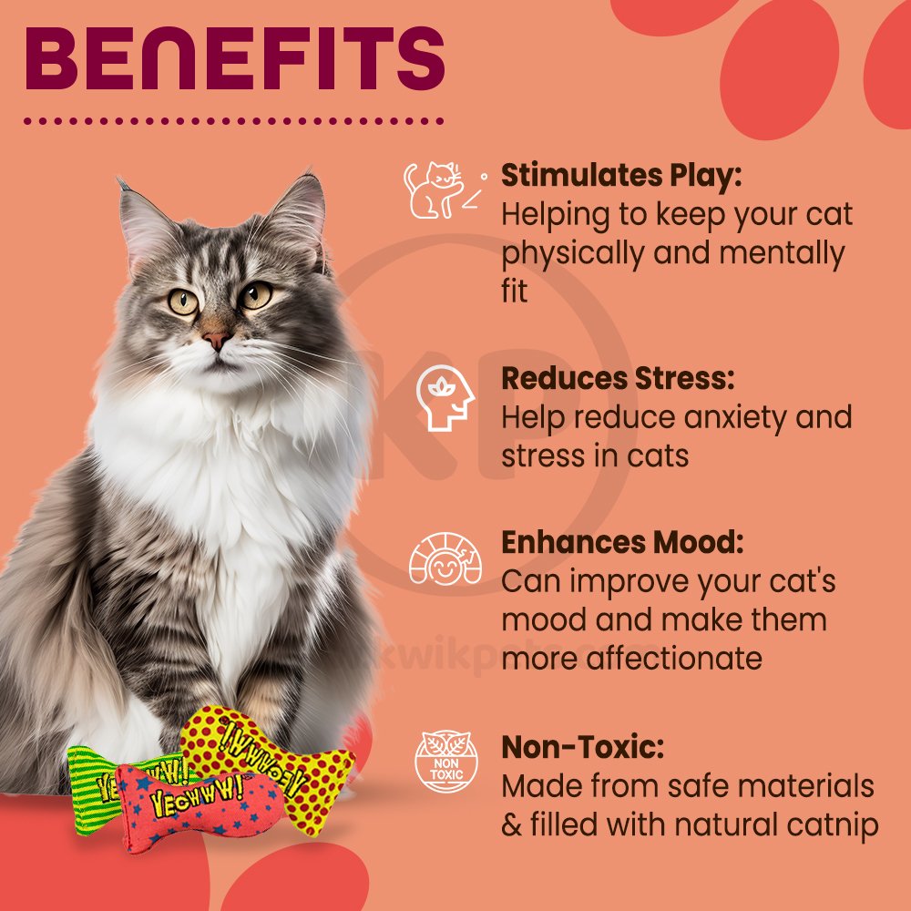 Benefits of Yeowww! Stinkies Catnip Cat Toy Assorted 3 Count 3-in