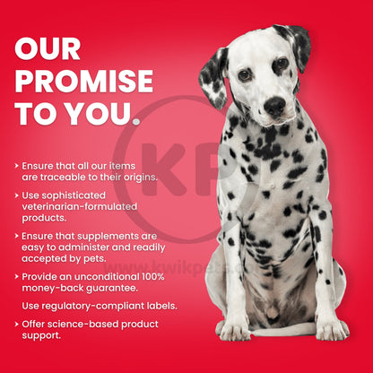Promise - Nutri-Vet Hip & Joint Extra Strength Chicken & Cheese Soft Chews For Dogs 60 Count 4.2-oz
