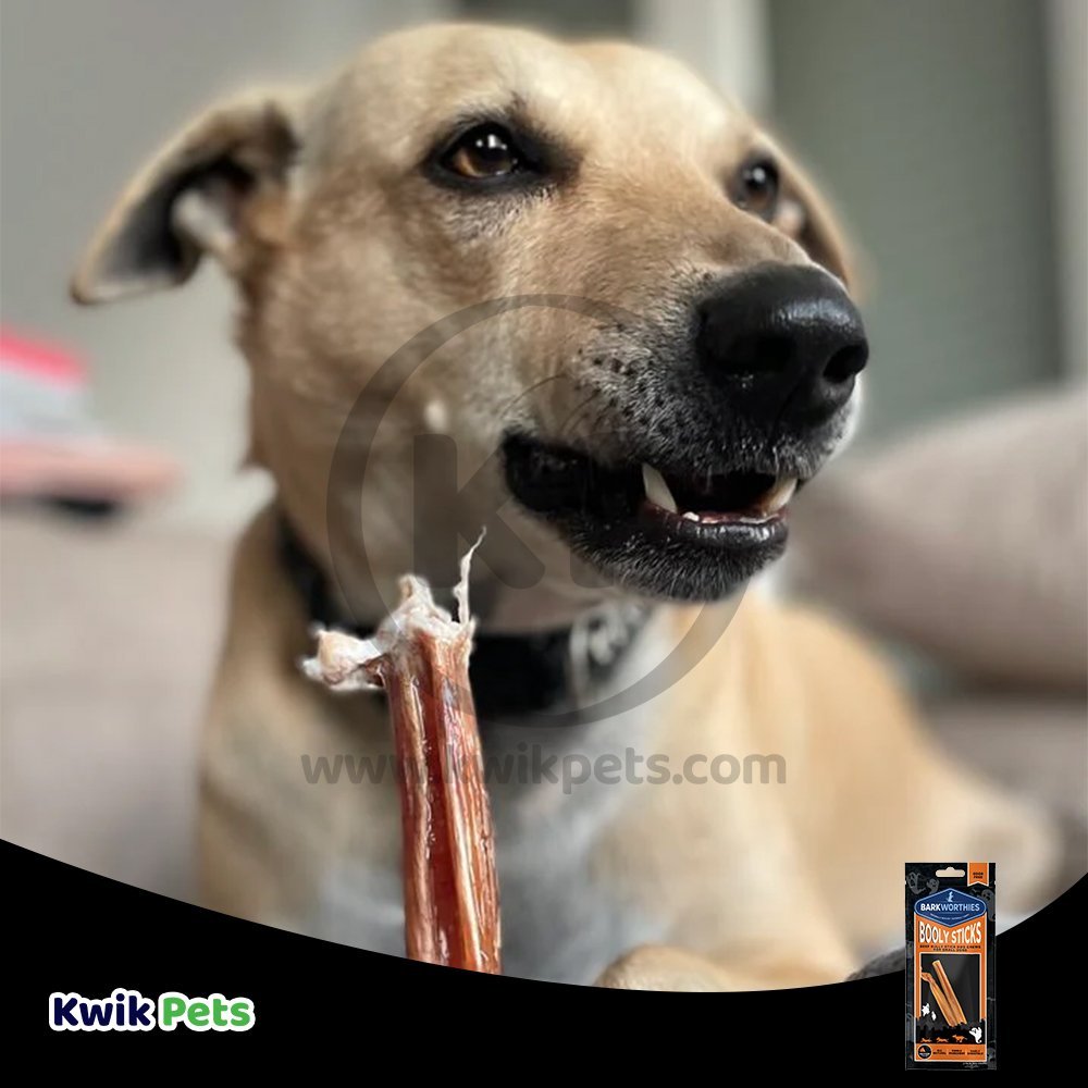 Barkworthies BOOLY STICKS