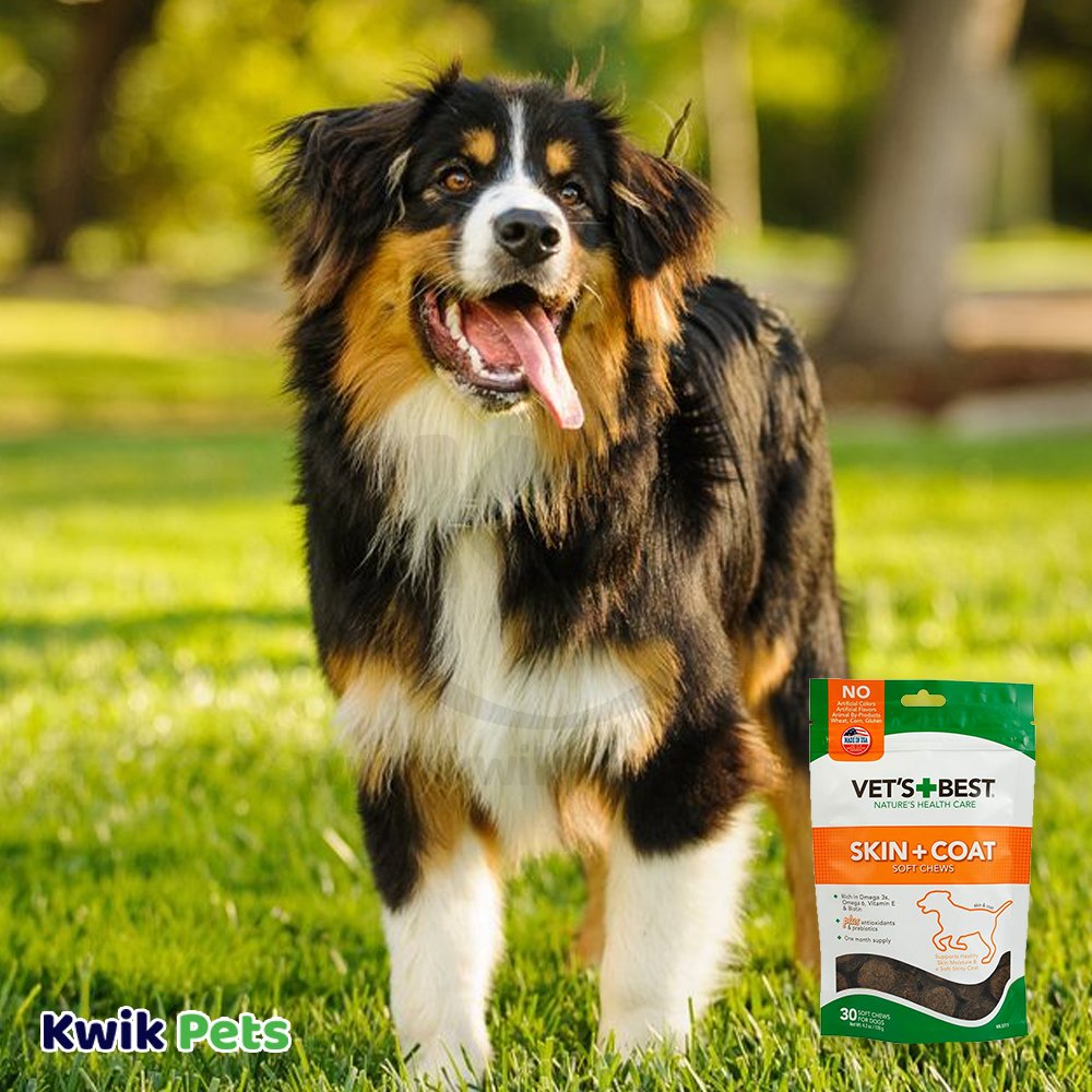 Vet's Best Skin & Coat Soft Chews 4.2 oz, 30 ct, Vet's Best