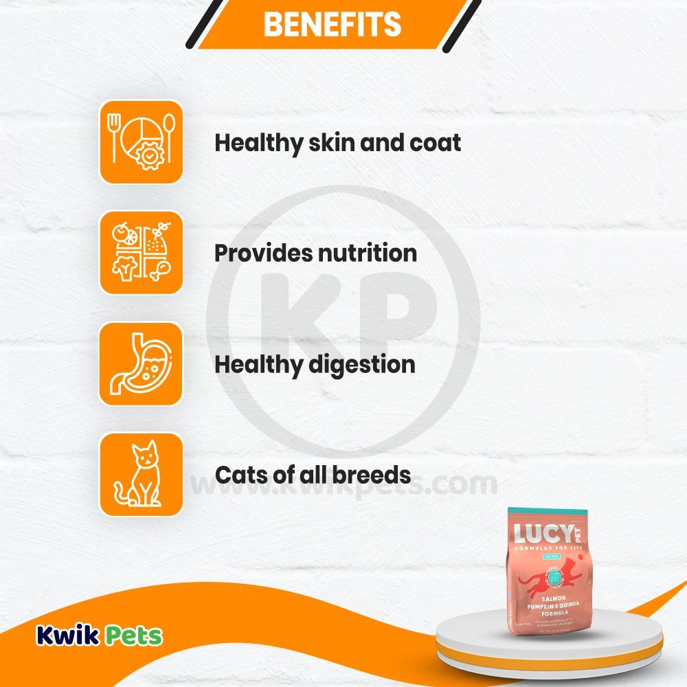 Benefits of Lucy Pet Products Dry Cat Food