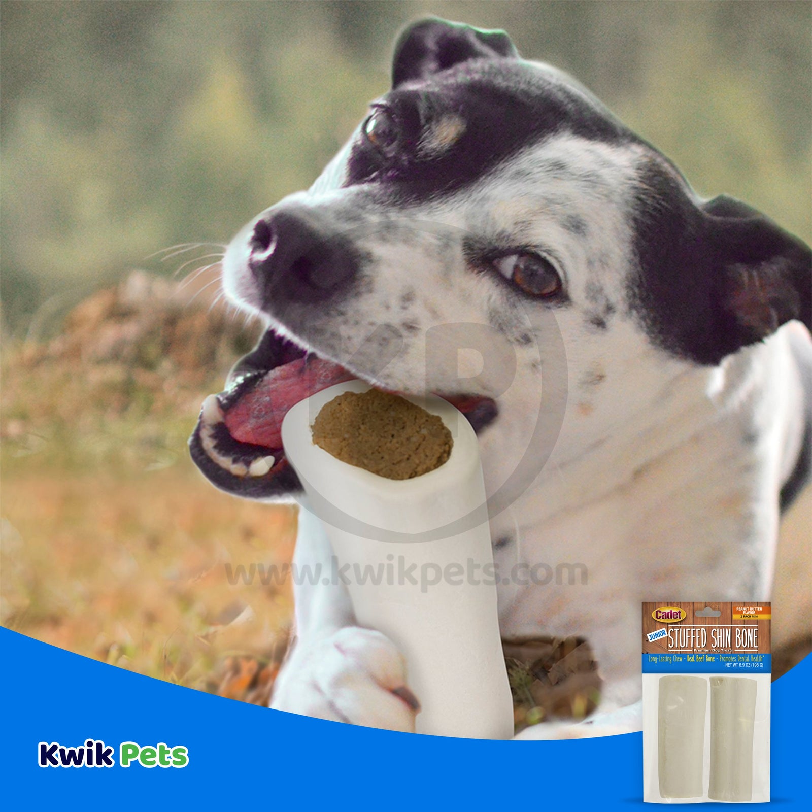 Cadet Junior Stuffed Shin Bones Dog Chews Made with Peanut Butter Mini 2-ct