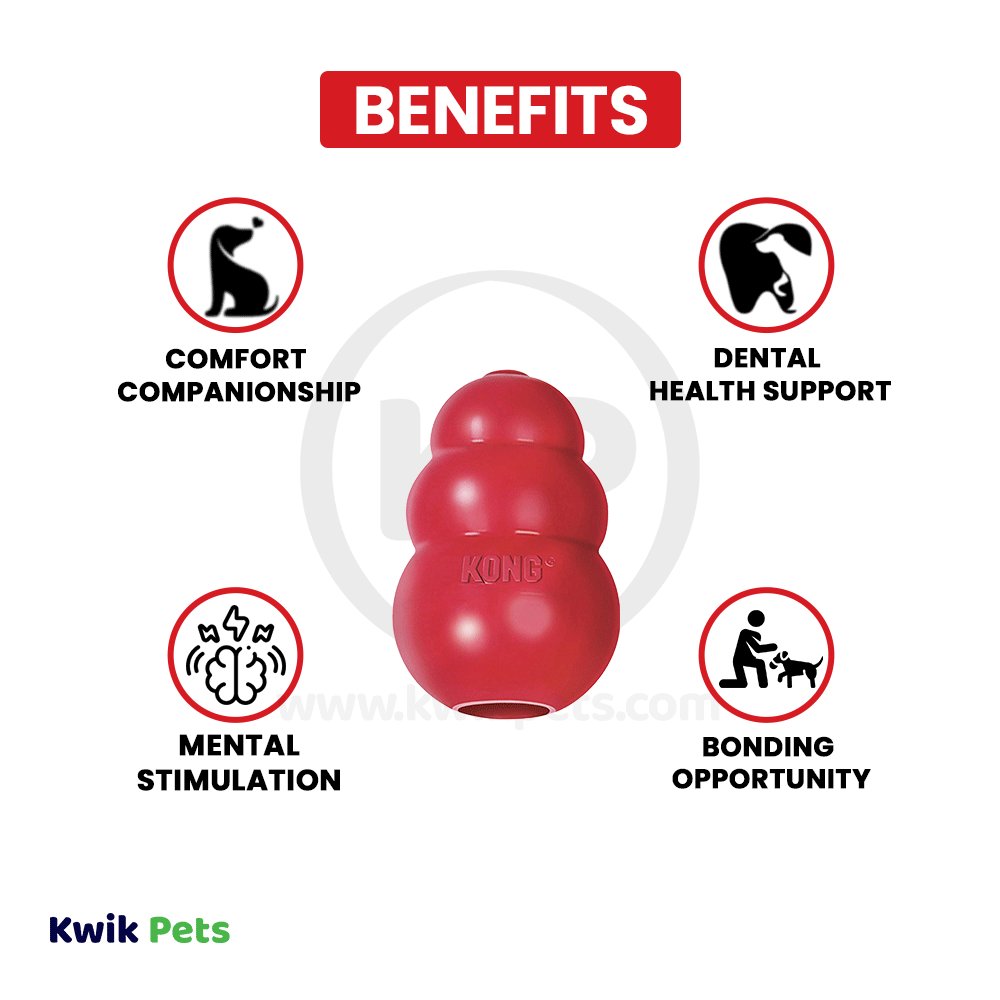 KONG Classic Dog Toy Small, Kwik Pets