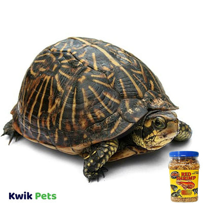 Lifestyle of Zoo Med Sun-Dried Large Red Shrimp Reptile Food 10-oz