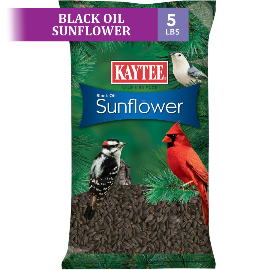 Kaytee Black Oil Sunflower Wild Bird Food 5-lb