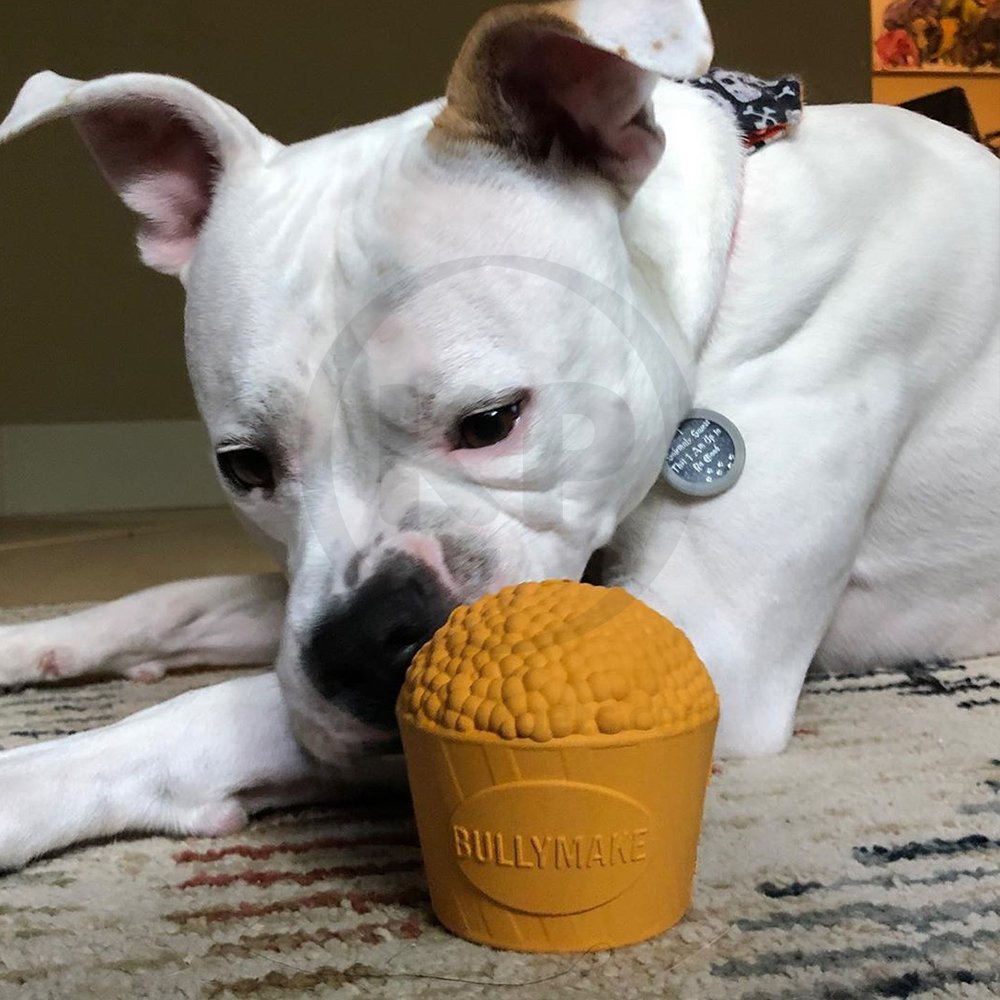 Lifestyle of BullyMake Toss n' Treat Butter Flavored Popcorn Dog Chew Toy One Size