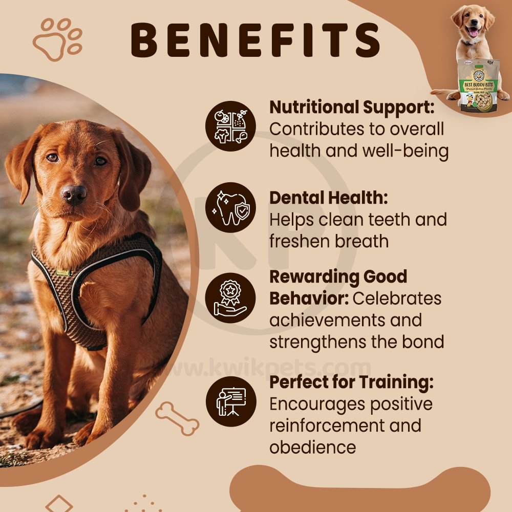 Benefits of Exclusively Pet Best Buddy Bits Tranning Dog Treats Peanut Butter 5.5-oz