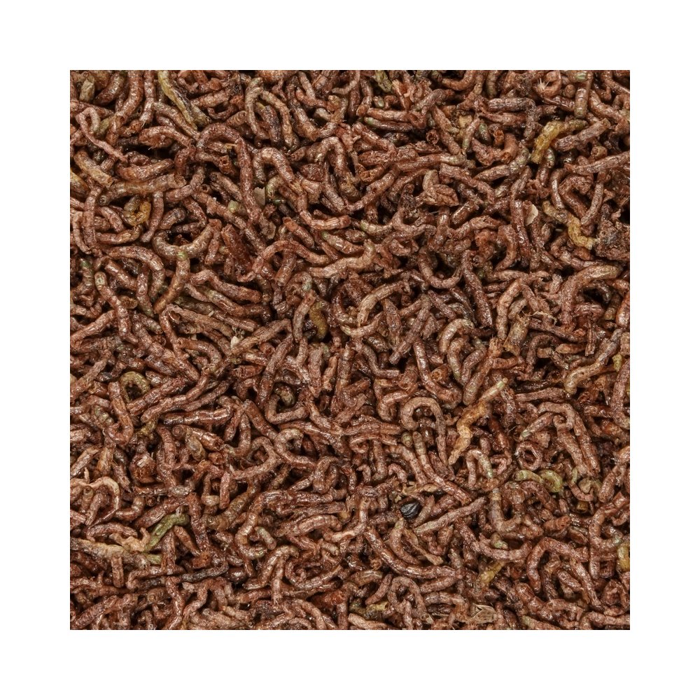 San Francisco Bay Brand Bloodworms Freeze-Dried Fish Food 0.5-oz, Kwik Pets