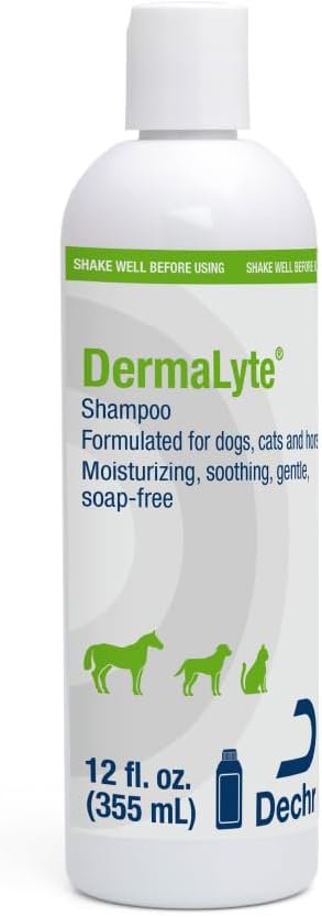 Dechra DermaLyte Shampoo for Dogs, Cats & Horses 12-oz, Kwik Pets