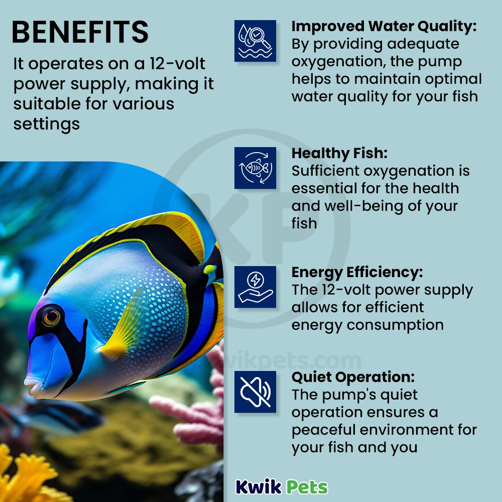 biOrb 12-Volt Aquarium Air Pump, Kwik Pets