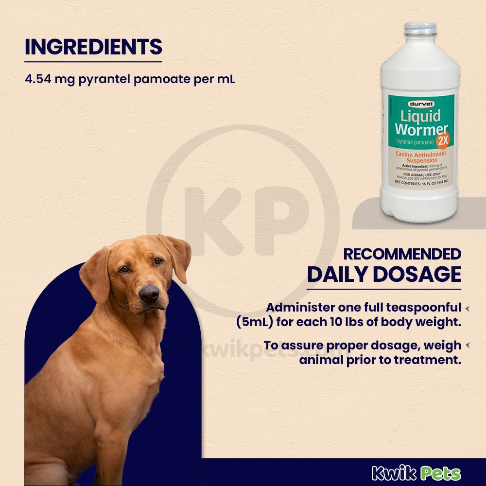Durvet Liquid Canine Wormer 2X 16oz, Durvet