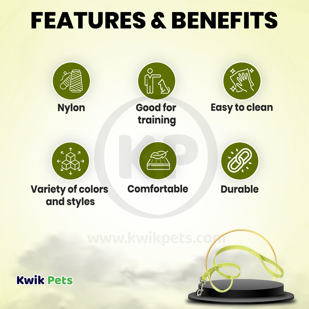 Features and Benefits of Coastal Single-Ply Nylon Dog Leash Lime 1 in X 6 ft