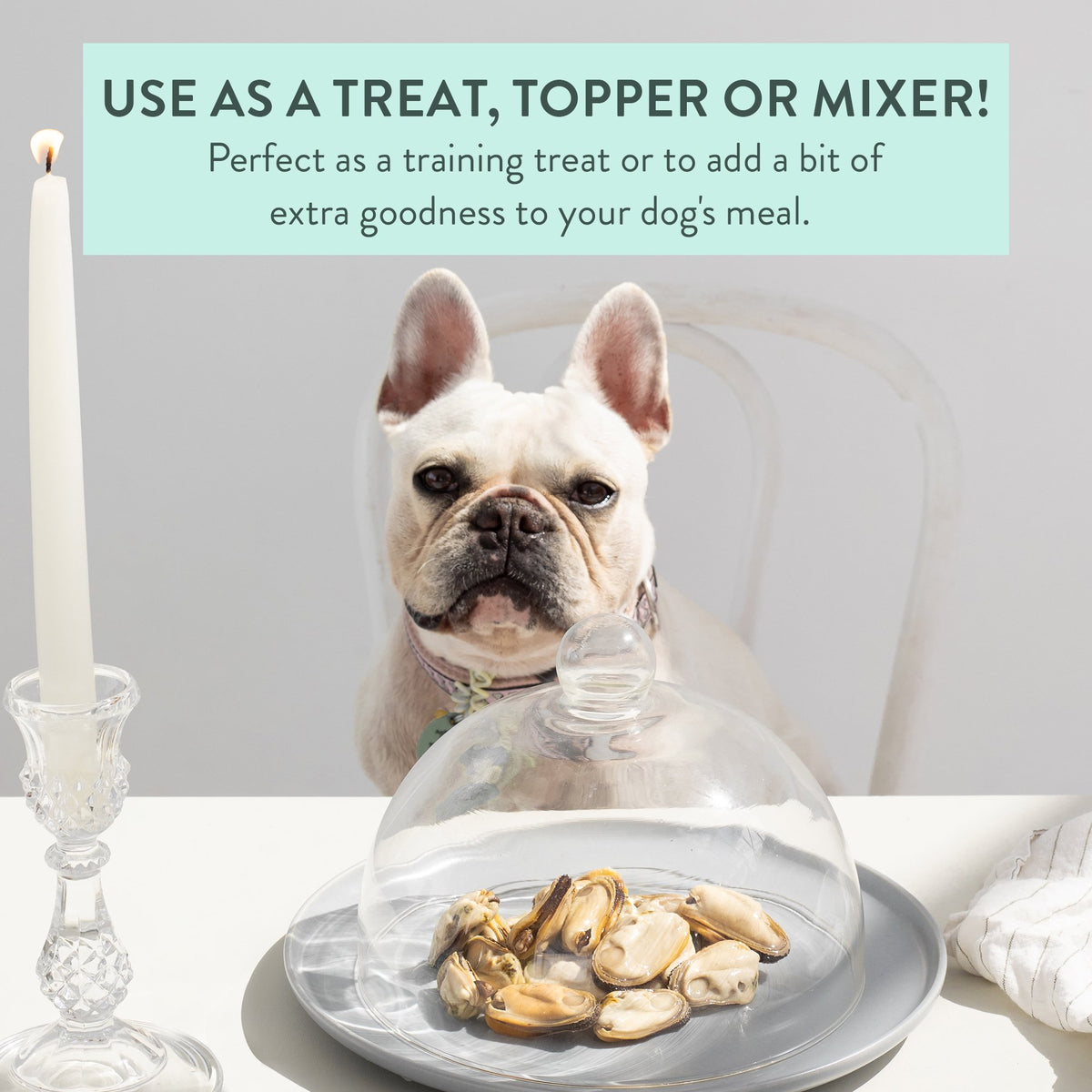 The New Zealand Natural Pet Food Co. Woof Freeze Dried Dog Treat NZ Green Mussels 1.76-oz