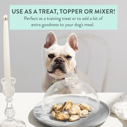 The New Zealand Natural Pet Food Co. Woof Freeze Dried Dog Treat NZ Green Mussels 1.76-oz