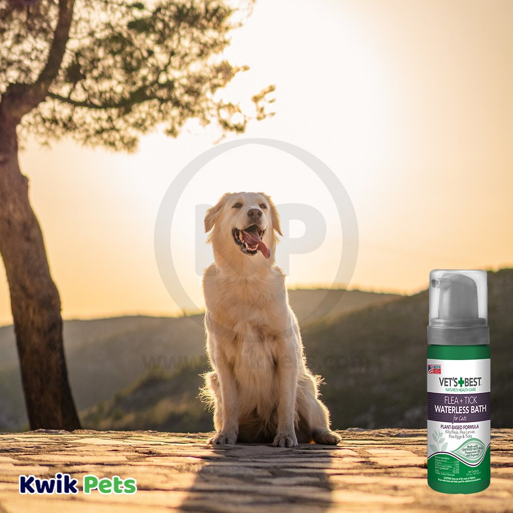 Vet's Best Flea & Tick Cat Waterless Bath Foam 5-oz, Vet's Best