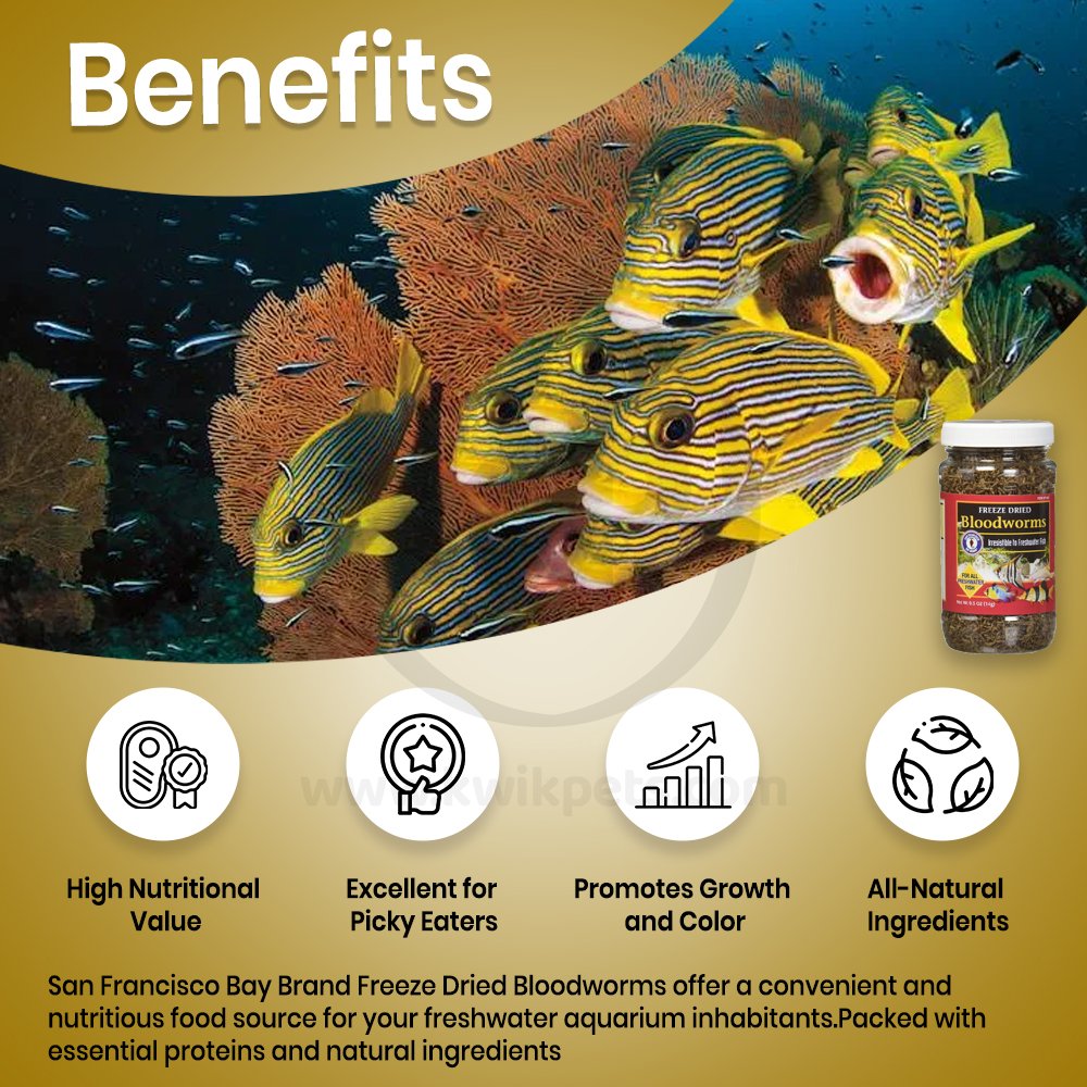 San Francisco Bay Brand Bloodworms Freeze-Dried Fish Food 0.5-oz, Kwik Pets