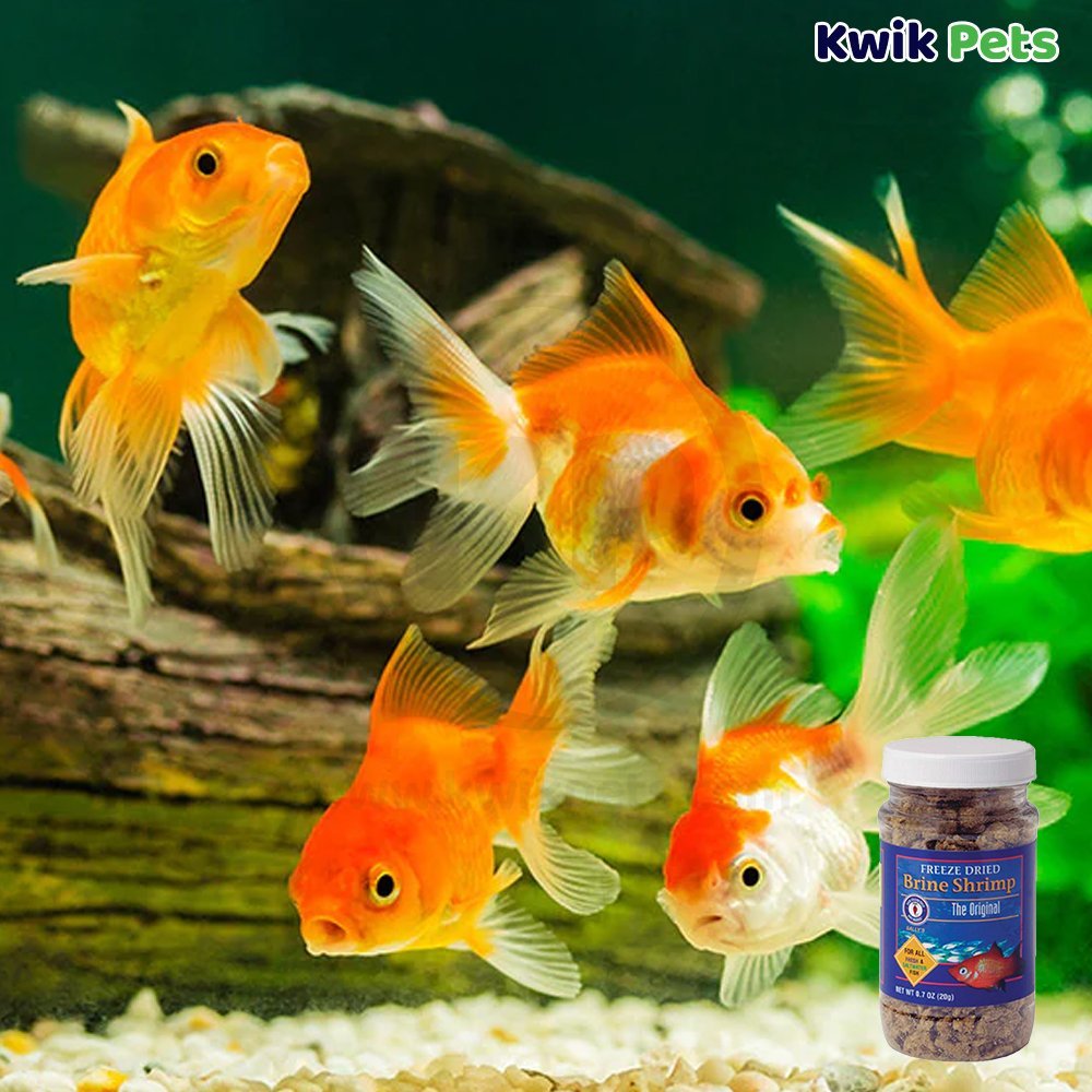 San Francisco Bay Brand Brine Shrimp Freeze-Dried Fish Food 0.7-oz